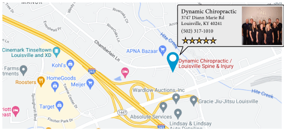 Dynamic Chiropractic on the map